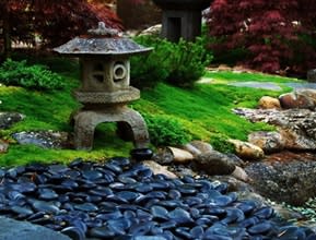 Lantern in Zoysia