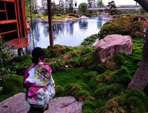 Japanese Garden Planted With Zoysia