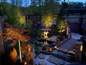 Japanese Garden Planted With Zoysia